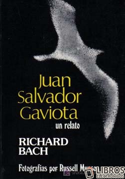 Libro Juan Salvador Gaviota en PDF
